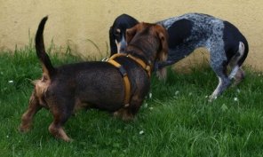 10292140_697458573629765_4301741914419247821_n_2