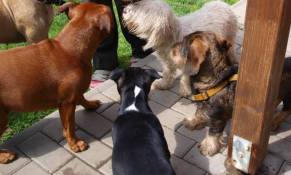 10380283_716683168373972_8603374337244740051_n_2