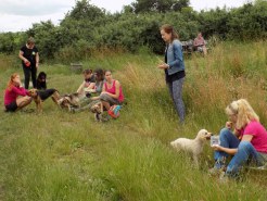 Psí procházka červen 2016 102